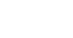 Logo_3DS_BLANC